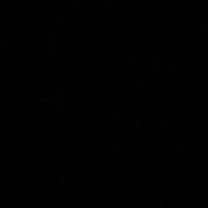 Meet your Posher, Raudy